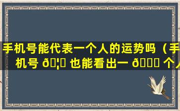 手机号能代表一个人的运势吗（手机号 🦋 也能看出一 🐝 个人的运势吗）